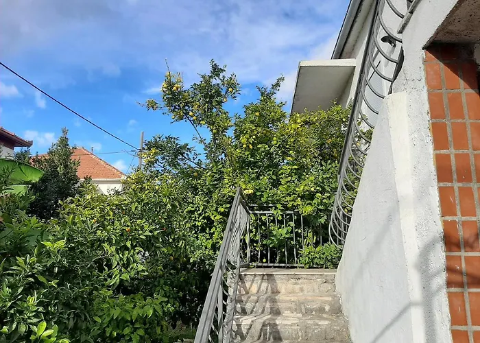 Apartment Sarko Zadar